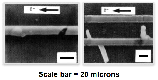SEM圖像顯示了IC互連中的極端電遷移 SEM圖像顯示了IC互連中的極端電遷移